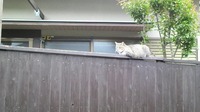 2012051916530000