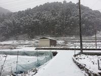 20170124_083807