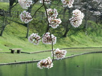 DSCF1145