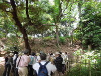 DSCN0379