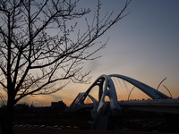 DSCN4954