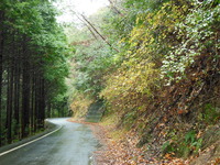 DSCN2071