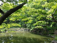 20160620_140019