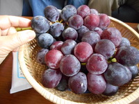 DSCN0145