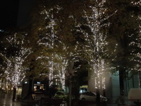 DSCN0419