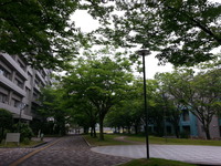 20160528_132948