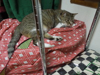 DSCN9560