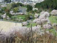 DSCF1241