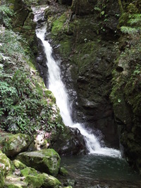 DSCF7532