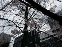 20160324_130010