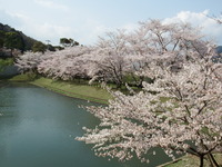 DSCF1160