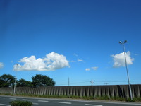 DSCN8389