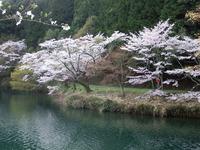 DSCF1339