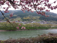 20150416_142412