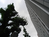 RIMG0053