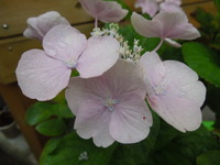 DSCN9467