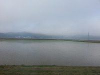 20160523_065800