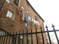 DSCN1205