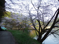DSCF1389