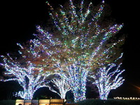 20141121_183449