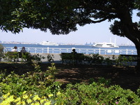 RIMG0078