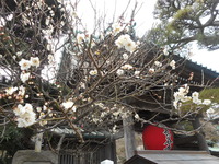 DSCN0498