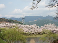 DSCF1209