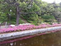 20160423_144312