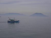 RIMG0374