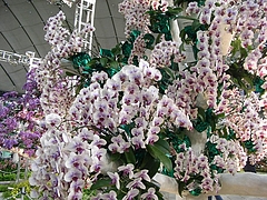 RIMG0314