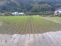 20160522_183054