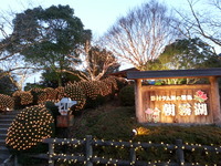 20141227_171735