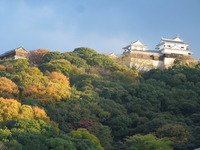 DSCN0905