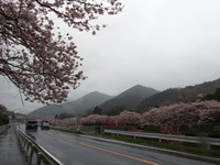 DSCF1057