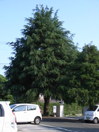 RIMG0357