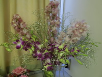 DSCN0138