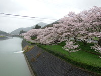 DSCF1019