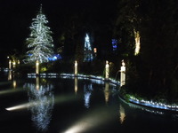 DSCN8986