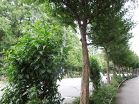 DSCN9407