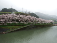 DSCF1021