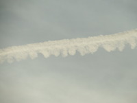 DSCF4328