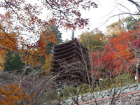 20141124_153905