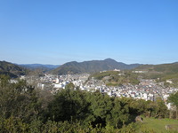 IMG_2877