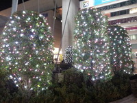 20121220_174456