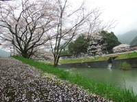 DSCF0995