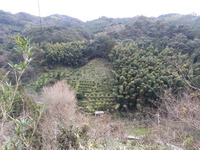 20170127_163546