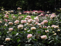 DSCN0673