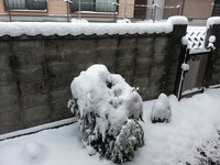 20160124_110504