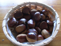 RIMG0948