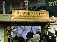 DSCN4814